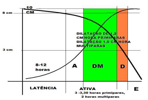 1. ADMISSÃO DA PARTURIENTE 1a. Sinais de trabalho de parto:.