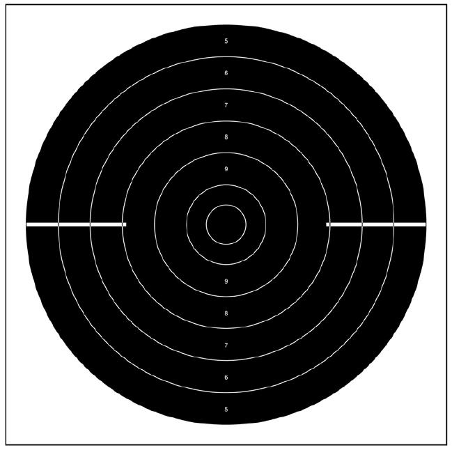 Fig. 4: Alvo para Provas de Tiro Rápido a 25