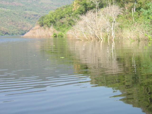 No relatório do primeiro trimestre/2005 foi recomendada a remoção dos extensos trechos de estandes de Pistia stratiotes, o que ocorreu, com extenuante esforço, pois alcançar as plantas entre a