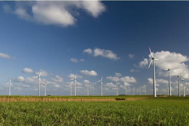 Está localizado na cidade de Mataraca; é constituído de 60 turbinas de 800 KW cada.