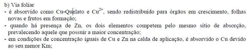 ABSORÇÃO 8 Ana Paula