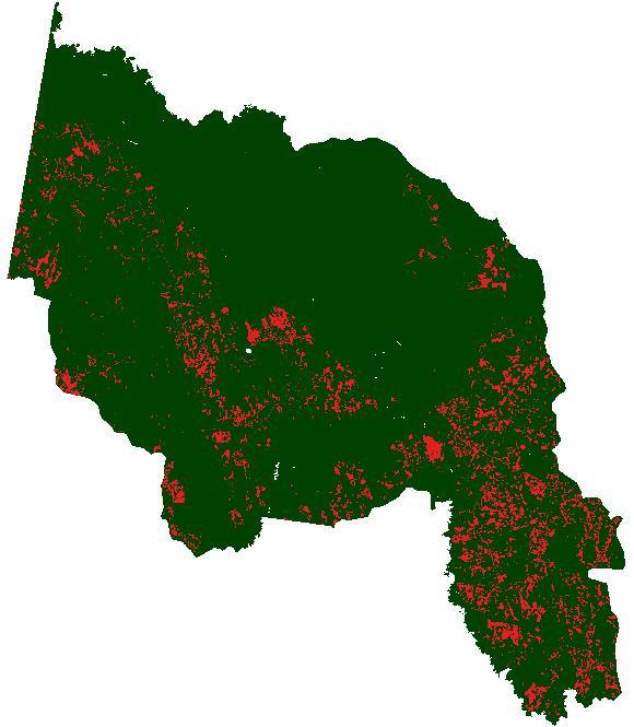 Figura 4. Imagens fração geradas pelo MLME para o ano de 2009. Com os mapas temáticos dos dois anos foi possível calcular o incremento de desmatamento, do ano de 1999 para 2009 (Tabela 1).