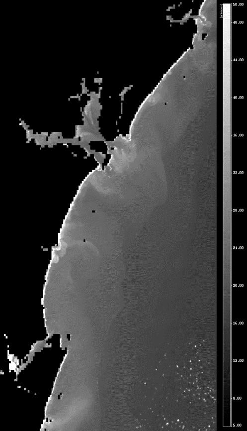 35 Figura 15 Imagem MODIS Aqua 250m do dia 12/06/2008, período de verão. A pluma costeira aparece misturada aos sólidos totais em suspensão predominantemente provenientes da ressuspensão do fundo.