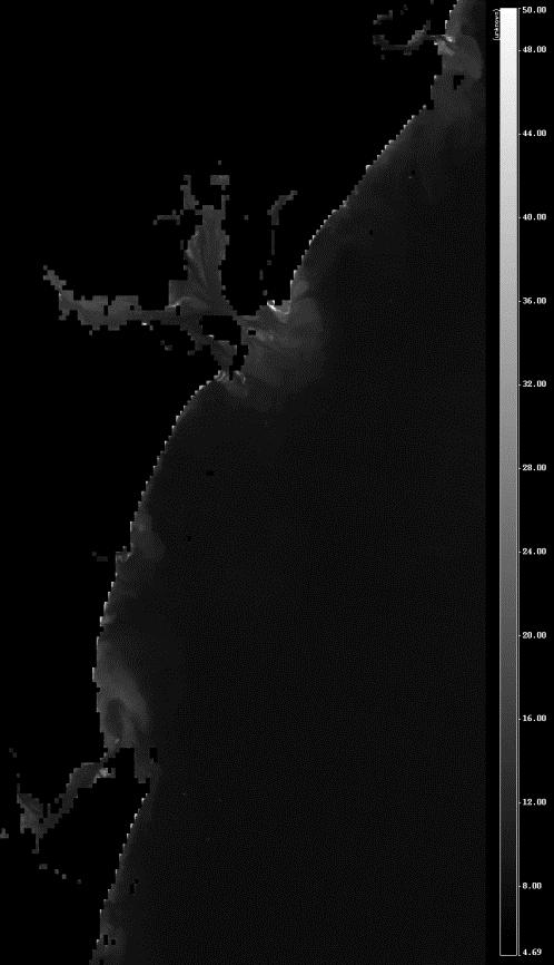 36 A sequência de imagens MODIS 250m demonstra como os sólidos totais em suspensão podem se comportar de forma dinâmica ao longo dos dias (figura 16). a) b) Figura 16 a) Imagem MODIS Terra 23/07/2002.