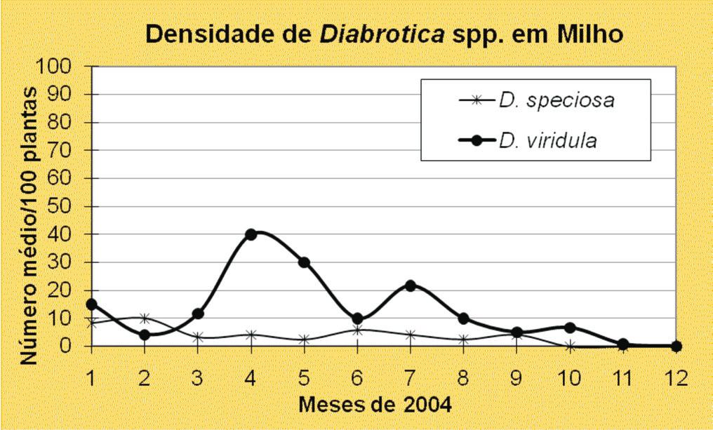 Ocorrência de espécies de Diabrotica em milho no Brasil: qual a predominante, Diabrotica speciosa ou Diabrotica viridula?