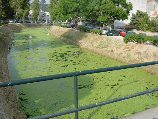 FERTILIZANTES FOSFATADOS E O AMBIENTE 1.