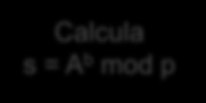 calcula B = g b mod p Calcula s = B a