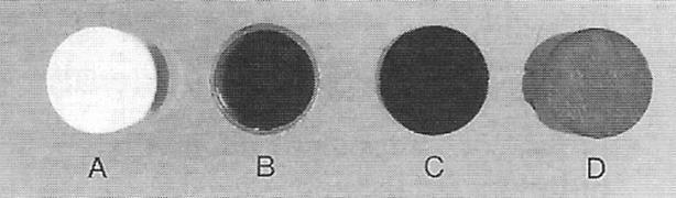 A: gesso de paris B: Plástico Oco C: Metal D: Madeira (Eric Whaites, 2003)