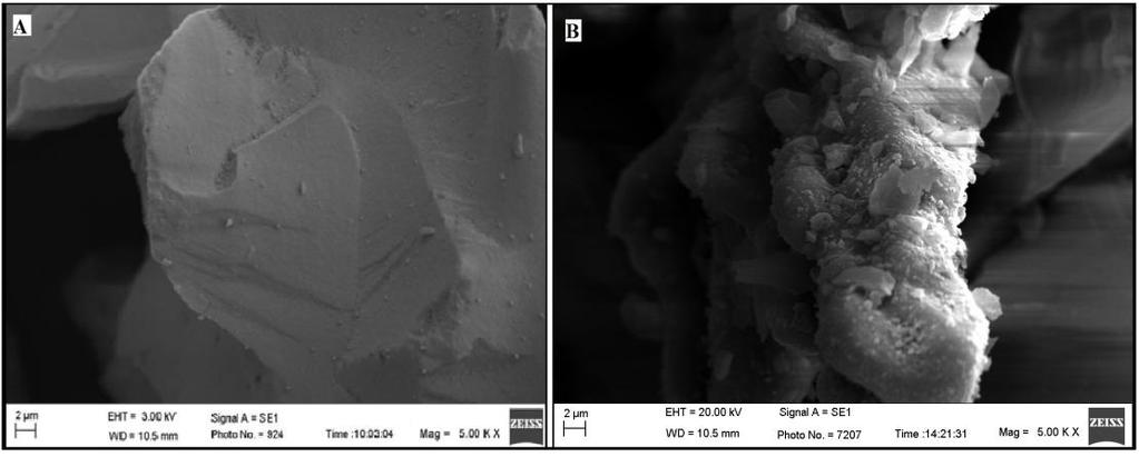 Microscopia eletrônica de varredura (MEV) Na microscopia eletrônica de varredura observou-se a presença de micropartículas dispersas com tamanhos variando de 30 a 60 m para a SG e de 80 a 100 m para