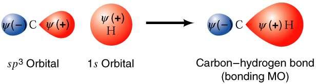 3. Sobreposição de orbitais hibridados: 1) O lóbulo positivo da orbital sp 3 é grande e estende-se para bastante longe no espaço. Figura 1.13 A forma de uma orbital sp 3. Figura 1.14 Formação de uma ligação C-.