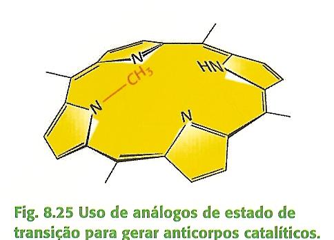 Enzimas As Enzimas apresentam Alta afinidade pelo Estado de Transição Reacional As