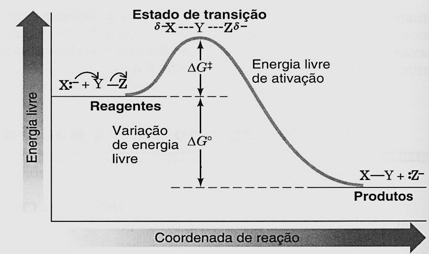 Termodinâmica da reação Critério de espontaneidade: Variação da Energia Livre ΔG Para uma reação ocorrer espontaneamente
