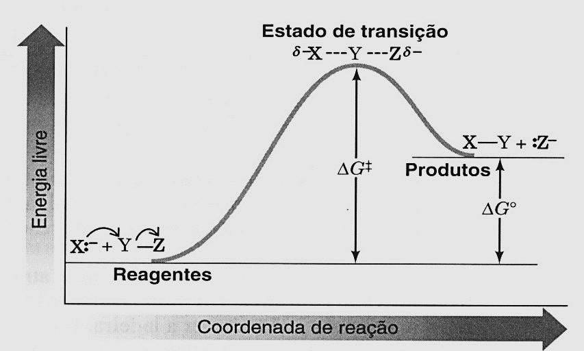 Reação Endergônica A espontaneidade não diz se ela vai ocorrer em uma velocidade mensurável: Depende da Barreira de