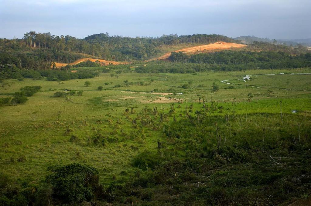 PROGRAMA DE REFLORESTAMENTO Plano Básico Ambiental, atendimento a Resolução SMA 08/08 e orientações técnico-científicas do IBt - Realização de 3 Cursos de Colheita de Sementes e Produção de Mudas - 3