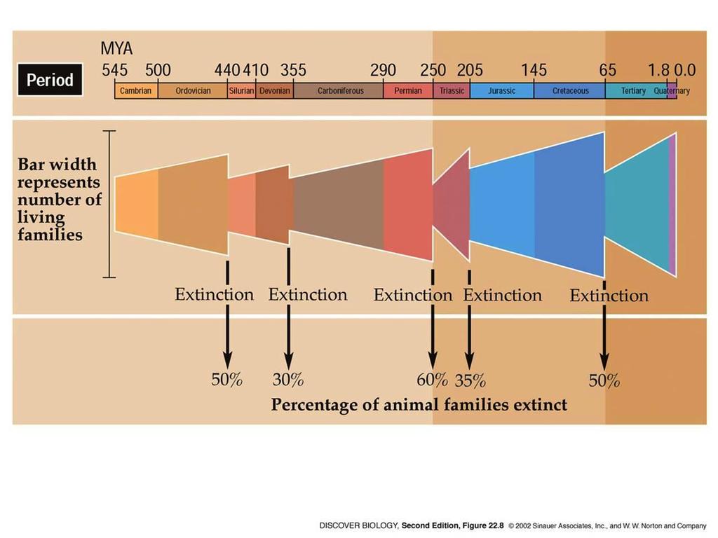 Extinções