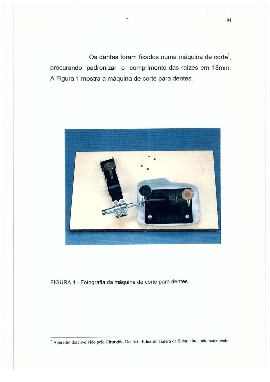 94 Os dentes foram fixados numa máquina de corte, procurando padronizar o comprimento das raízes em 18mm.