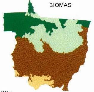 Preservação Ambiental no Mato Grosso Programa Estadual de Preservação dos Ecossistemas PEPE Campanhas de redução de queimadas Gerenciamento Integrado da Bacia do Alto Paraguai e Estratégia para a