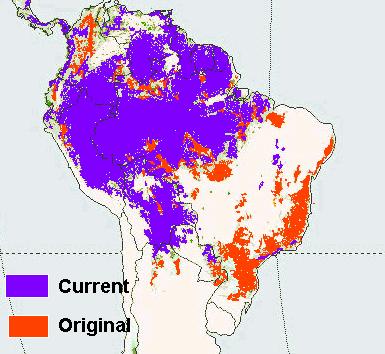 Áreas Florestais no Brasil Associação