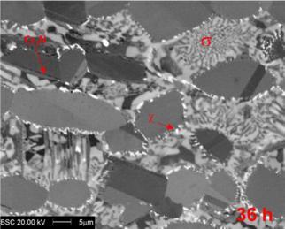 Microestrutura do aço UNS S32750 (a) solubilizado a 1100 C por 30 minutos após ataque de Beraha modificado e em (b) após envelhecimento a