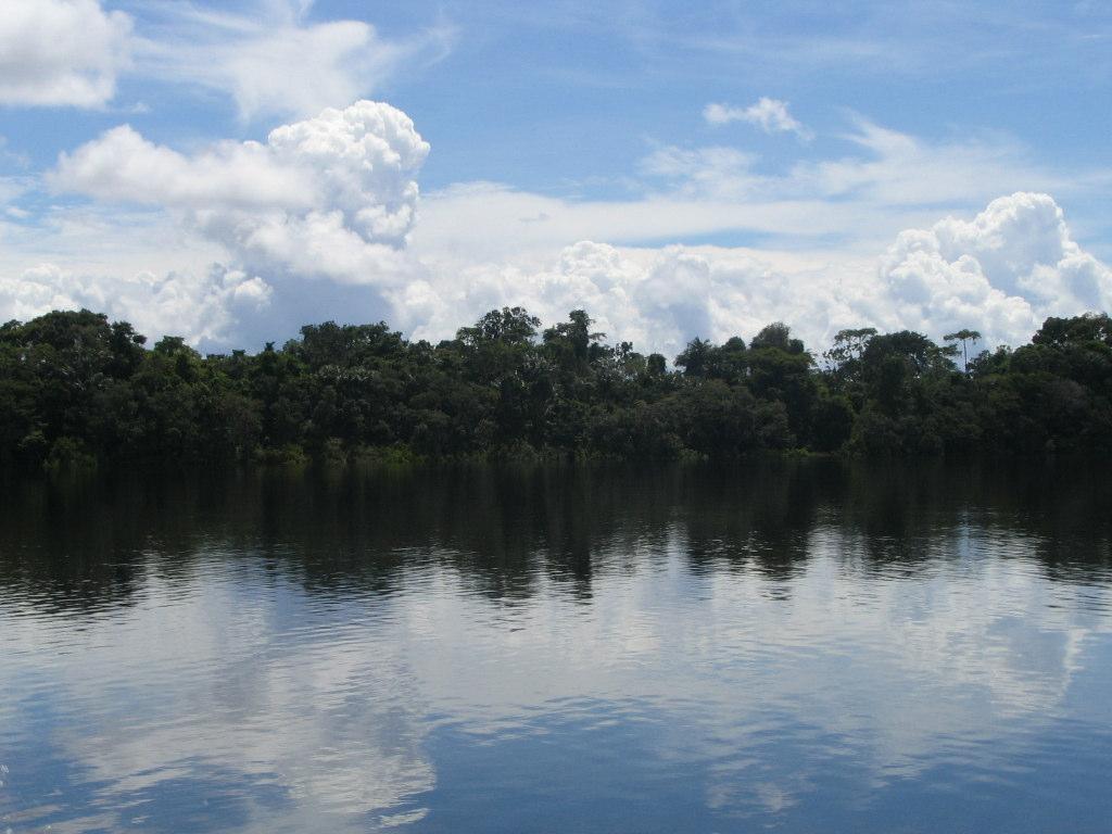 br Governos Estaduais da Amazônia Brasileira: