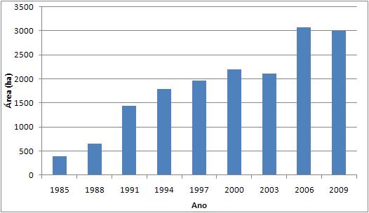 não chegou a 1.000 ha; alcançou 2.000 ha na década de 90 e início dos anos 2000, e chegou a 3.000 ha em 2006.