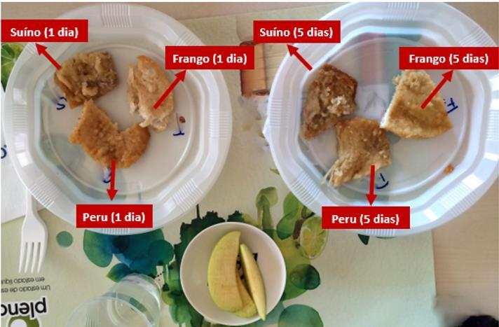 Fritou-se cada uma das amostras com óleo vegetal, tendo depois sido colocadas de forma codificada, em pratos plásticos identificados (figura 2.8).