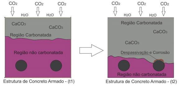 Carbonatação Silva (2016) define carbonatação como a alteração dos compostos do cimento hidratado em carbonatos oriundo do ingresso de CO 2 no concreto através da porosidade e fissuras no concreto.