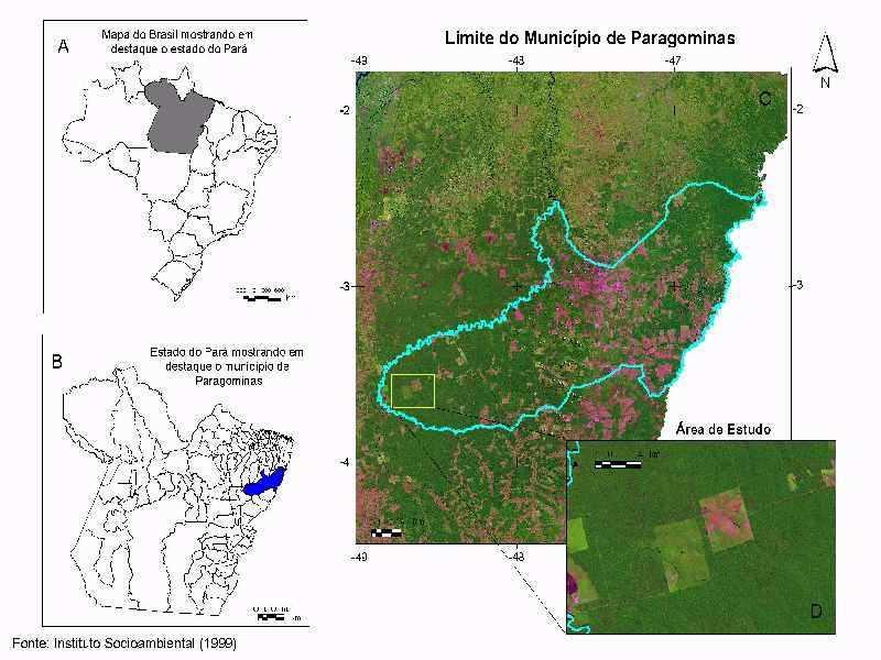 27 Dom Eliseu, Ulianópolis e Goianésia do Pará; e a Oeste, o município de Ipixuna do Pará (PARÁ, 2008). Paragominas possui uma área de 19.