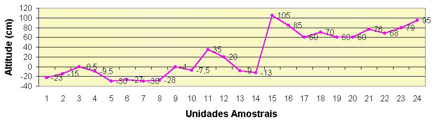 Figura 2: Topografia do terreno, tomando-se como zero o nível do lençol freático, em ponto central das unidades amostrais, medido no mês de março de 1996.