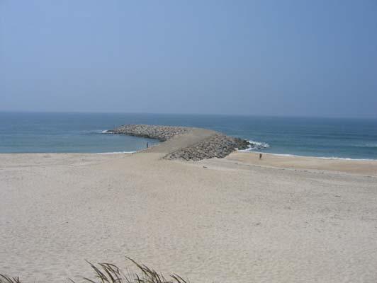 da praia procedeu-se à ripagem de areias para colmatar as clareias identificadas no sistema dunar adjacente à praia.