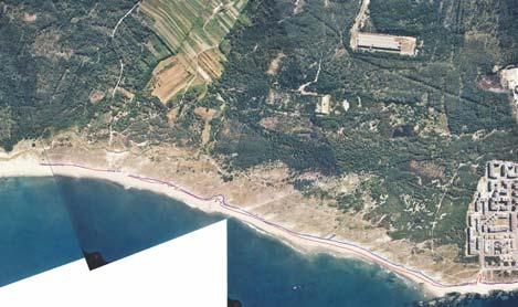 Caso 2: Requalificação ambiental das dunas da Amorosa Apresentação da candidatura OBJECTIVOS O projecto de Requalificação Ambiental das Dunas da Amorosa compreende um conjunto de intervenções de