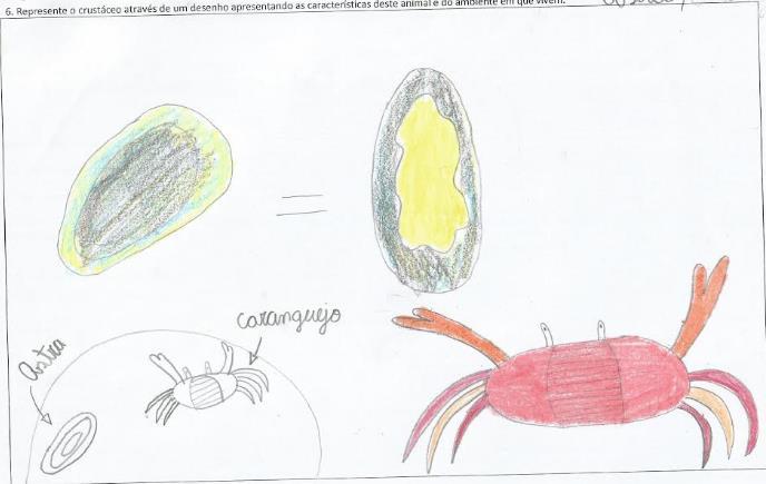 Figura 2: Representações graficas consideradas parcialmente corretas sobre os crustáceos por alunos da educação básica.