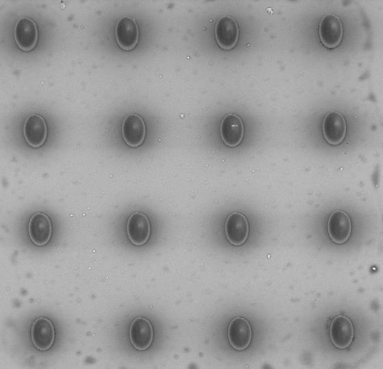 Resultados 65 40 µm Figura 5.3 - Imagens de MEV das microestruturas depois das modificações O passo seguinte foi fabricar matrizes de microestruturas com diferentes formas e distintos espaçamentos.