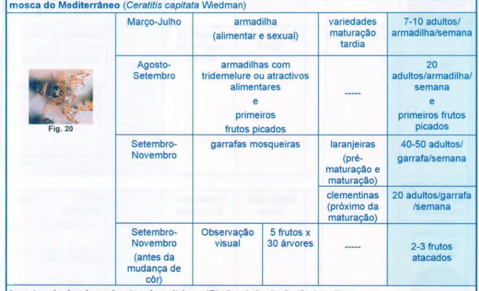 PRODI-citrinos ESTIMATIVA