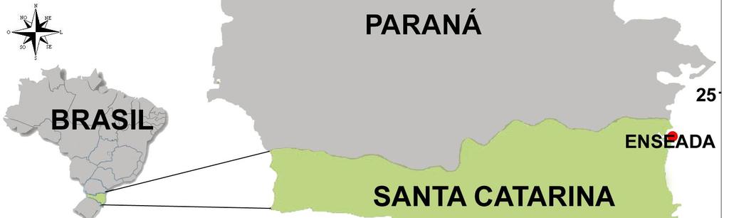 6 4. ÁREA DE ESTUDO A área de estudo é a comunidade de Enseada (Fig. 1) município de São Francisco do Sul, extremo-norte de Santa Catarina (Latitude -26 14'36'' e Longitude 48 38'17'').