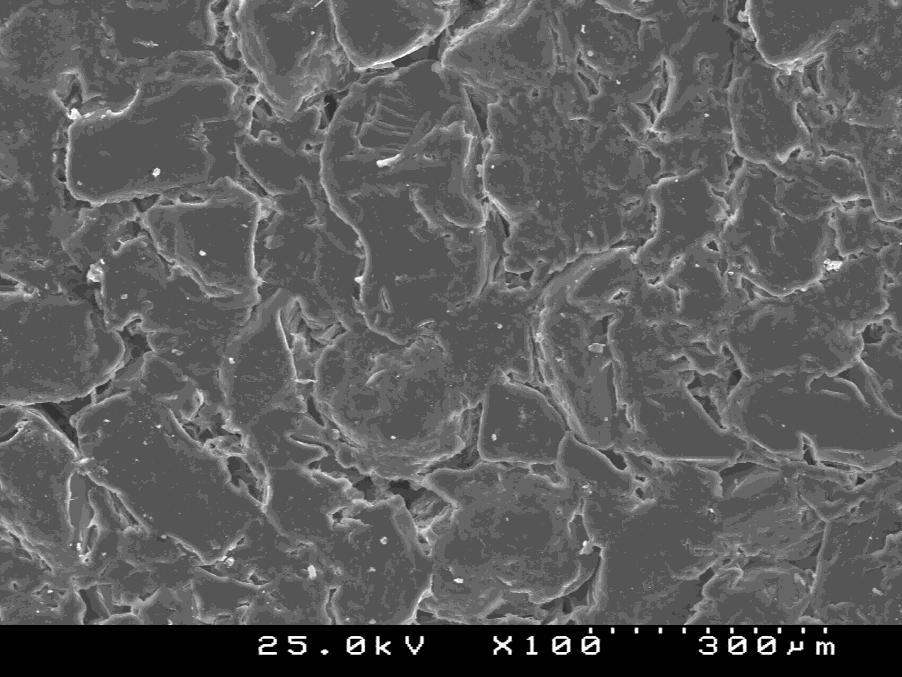 média 1µm de diâmetro. A amostra apresenta-se bastante uniforme quanto a distribuição do tamanho de grãos. Na figuras 4 pode ser visto a amostra contendo 50% de YIG inserida na matriz de PVA.