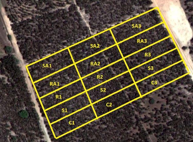 Sustentabilidade Avaliação da qualidade solos Área de cada parcela: 40 x 40 m 2 ; Cercal - Fonte do Corcho 5 tratamentos x 3 repetições 2,4 ha C