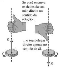 Velocidade Angular como um Vetor Tanto ω méd como ω são vetores. Podemos representar a velocidade angular do disco como vetor ω apontando ao longo do eixo de rotação, como na figura abaixo.