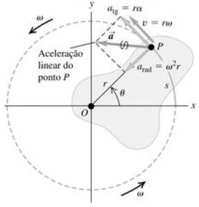 Aceleração A aceleração linear a do ponto tem uma componente tangencial e uma componente radial.