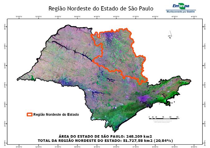 Figura 1: Área total de estudo do nordeste do Estado de São Paulo (CRISCUOLO, 2005).