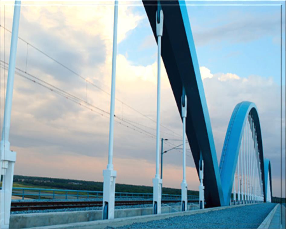 Pontes Ponts Bridges TPF -