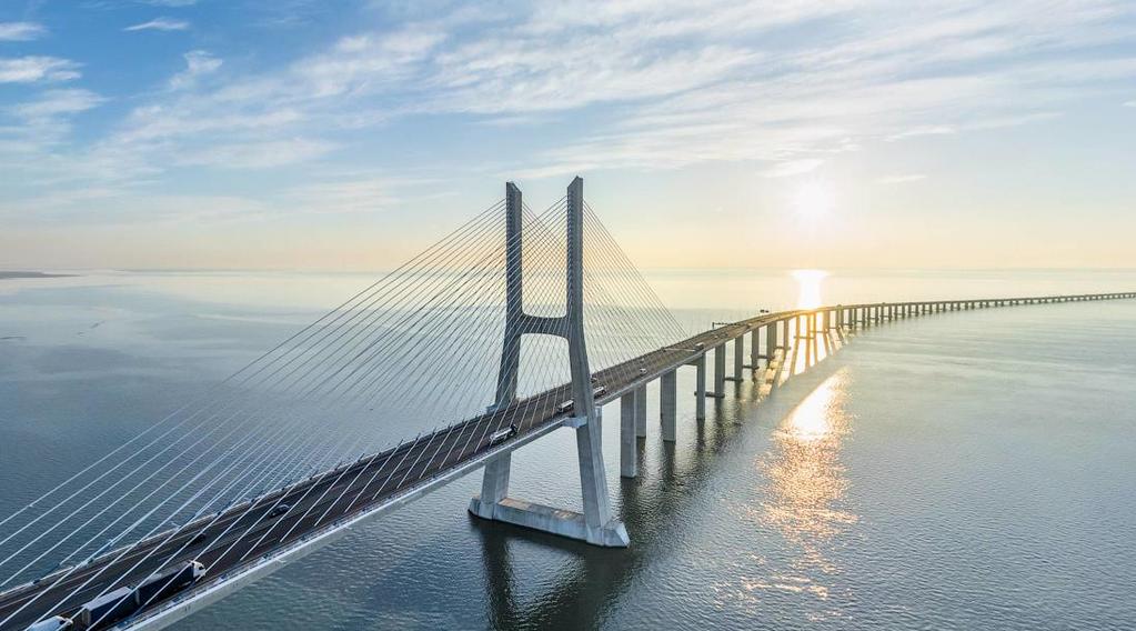 Ponte Vasco da Gama Revisão de Projecto, PORTUGAL NOVAPONTE (Tejo Ponte Control)