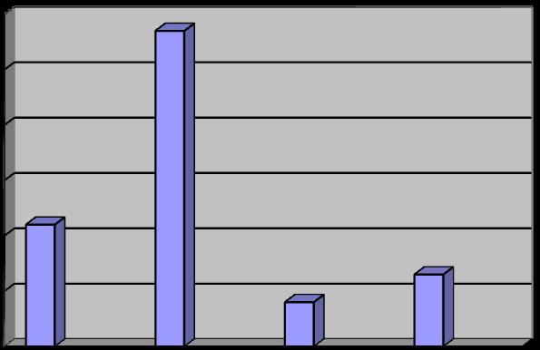 Reflete pouco sobre si mesma 22% 57% 8% 13% 60% 50% 40% 30% 20%