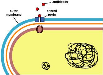 Mecanismos bioquímico-fisiológicos de resistência aos antimiccrobianos Alteração na permeabilidade celular Sistema MAR (Multiple Antibiotic Resistance) => em algumas