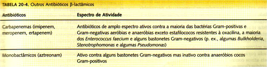 estrutura primária dessas proteínas Resistência à meticilina e oxacilina em Staphylococcus (MRSA ou ORSA): Presença no