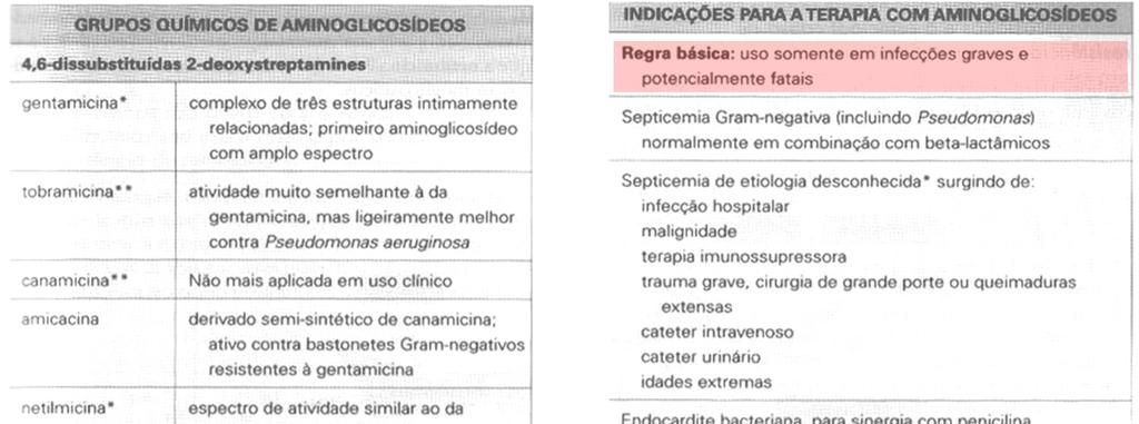 INIBIDORES DA TRADUÇÃO Aminoglicosídeos - Bactericida : ligação a sub-unidade 30S impedindo a junção da sub-unidade 50S O acúmulo de sub-unidades 30S aberrantes é tóxico para a célula -