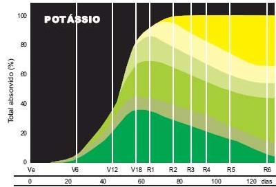 PROPORÇÃO DE POTÁSSIO NOS