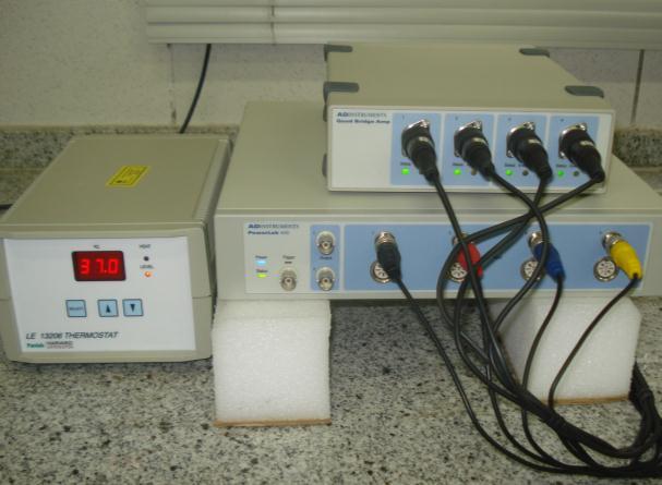 analógico-digital (Power Lab, ML8661P, 4130, ADInstruments, Australia), que por sua vez foi enviado para o computador para