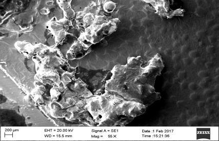 Figura 2- Microscopia eletrônica de varredura para os cristais de K2Cr2O7. (a) Precipitação física após uso de evaporador rotativo.