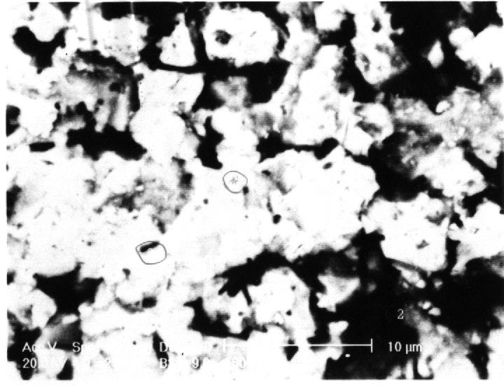 1500ºC Figura 60 Micrografia eletrônica de